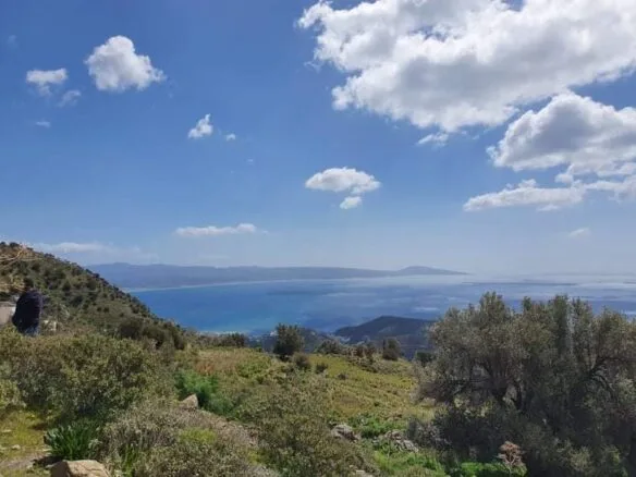 Plot of 4.500 sqm in Melampes.