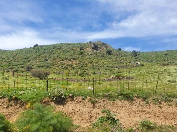 17.000 sq.m. in the area of Melampes.