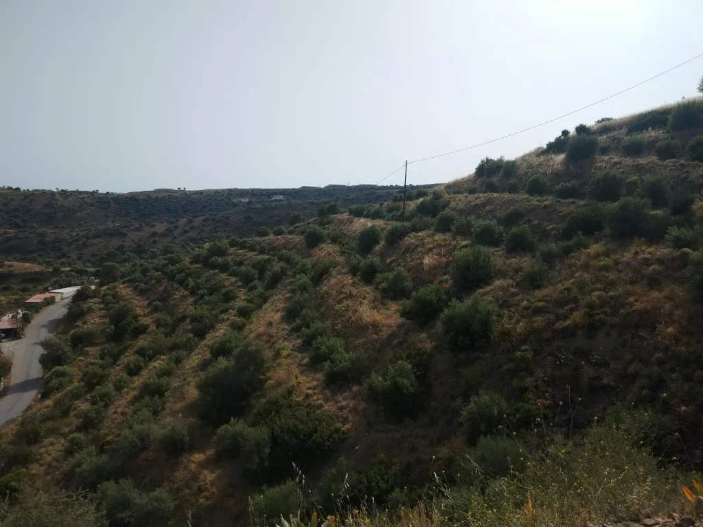Large plot of 10.000 sq.m. in Agia Galini.
