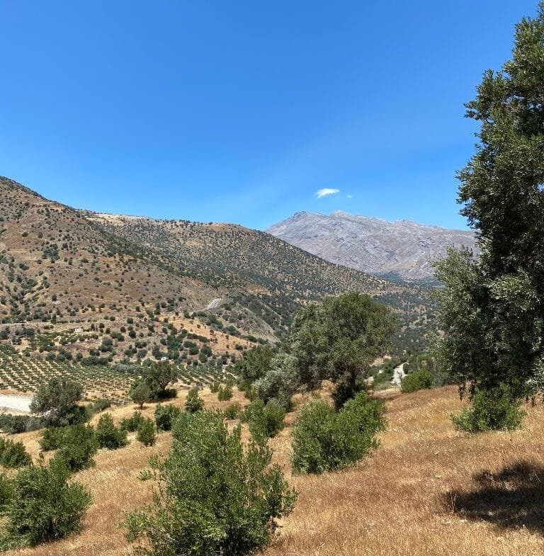 Plot of 7.095,17 sqm in Agia Galini.