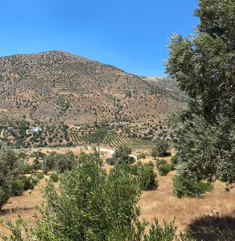 Plot of 7.095,17 sqm in Agia Galini.