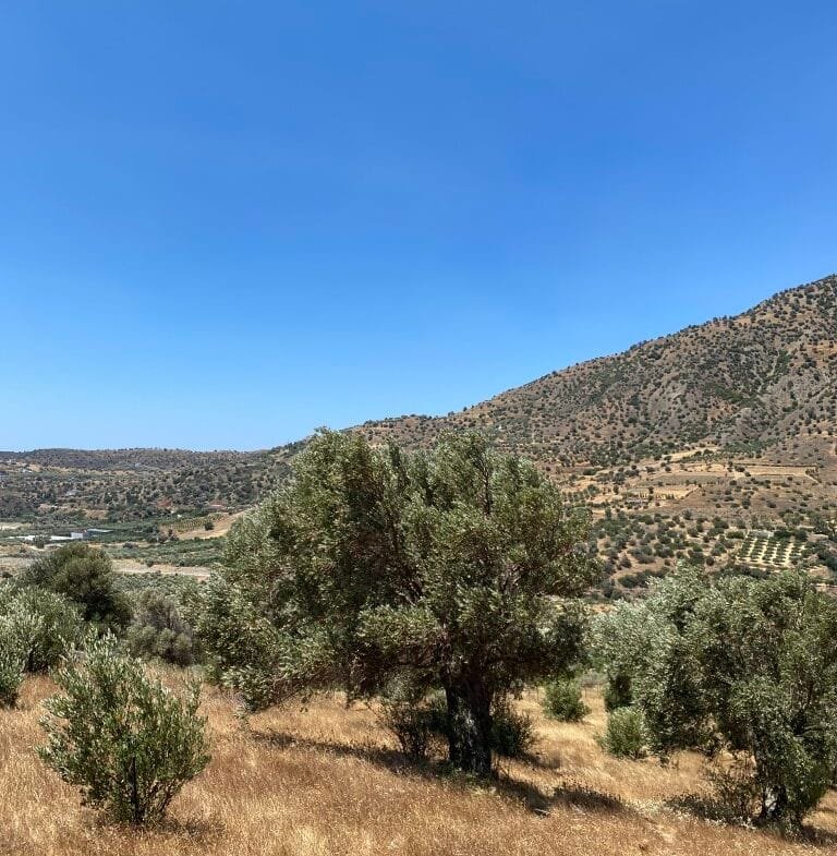 Plot of 7.095,17 sqm in Agia Galini.