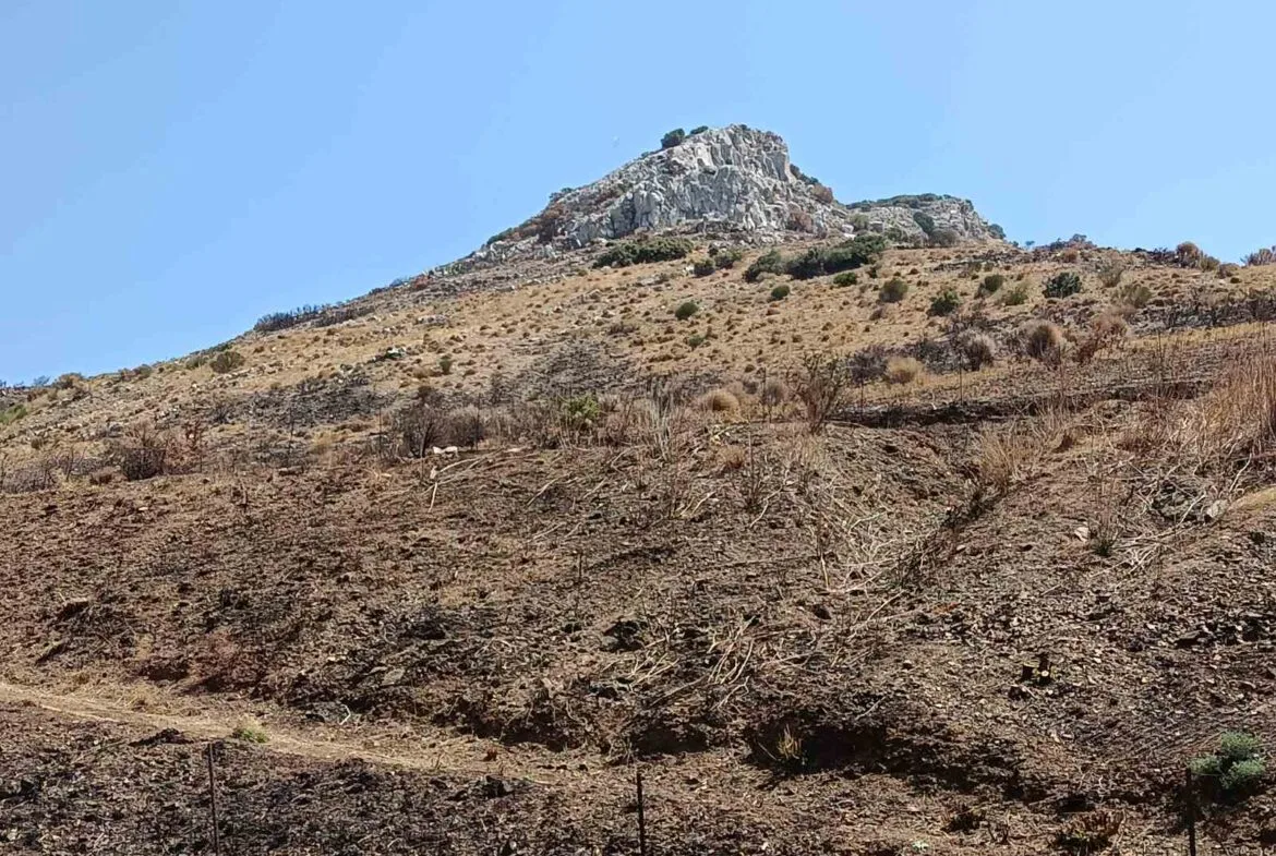 Budget plot for sale in Sactouria.