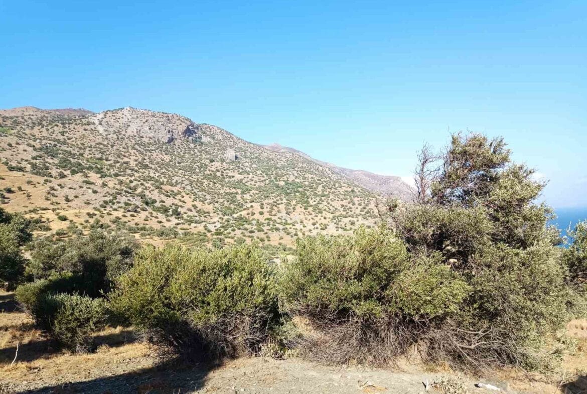 Plot of 5.700 sq.m. in Agios Pavlos.