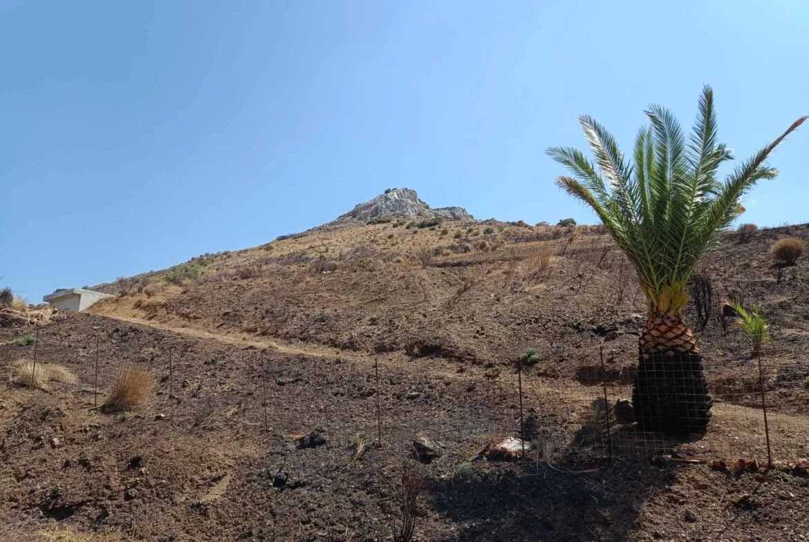 Budget plot for sale in Sactouria.