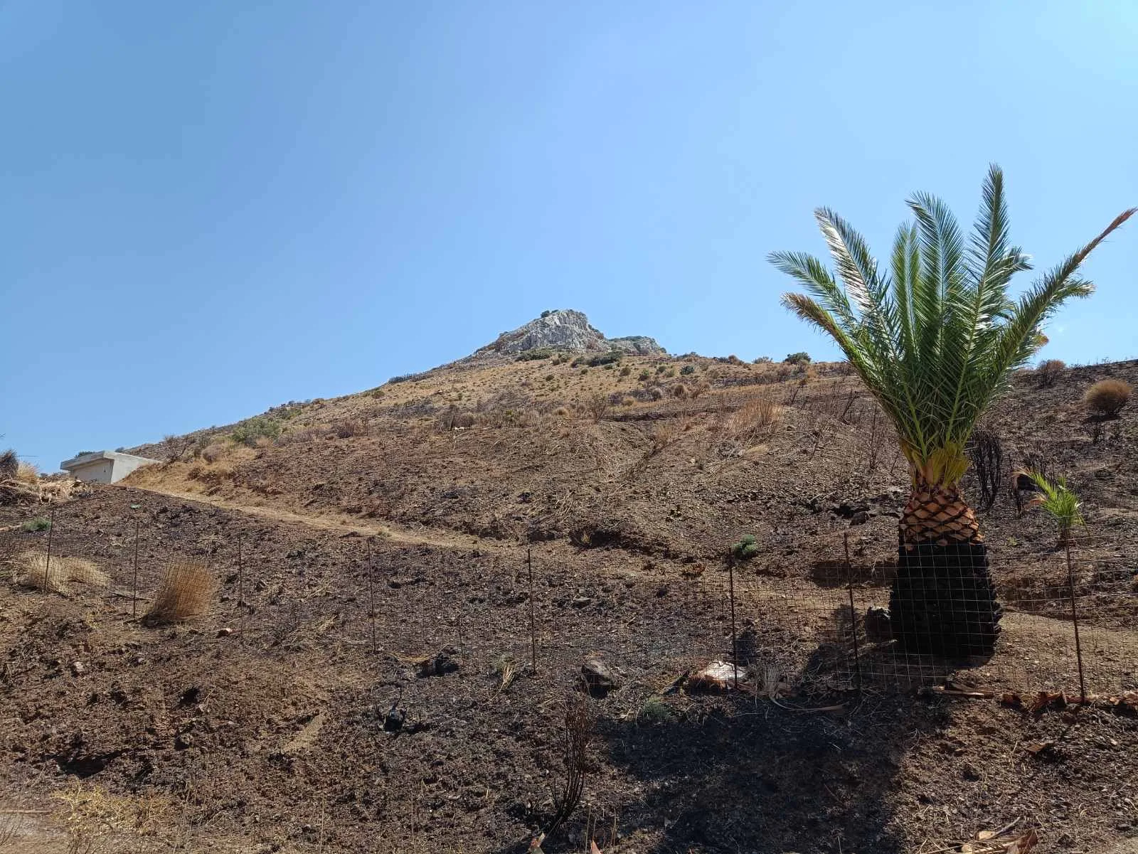 Budget plot for sale in Sactouria.