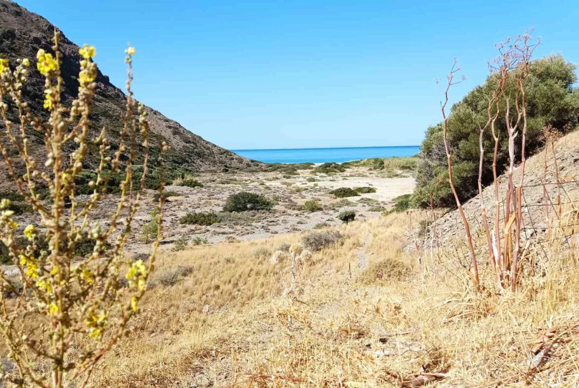 Five plots in the area of Triopetra.