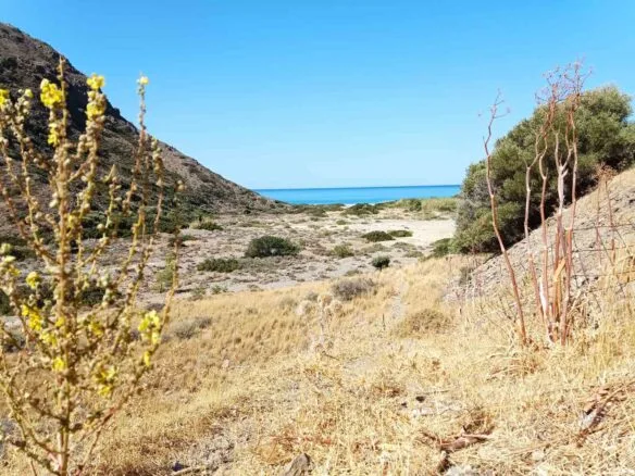 Five plots in the area of Triopetra.
