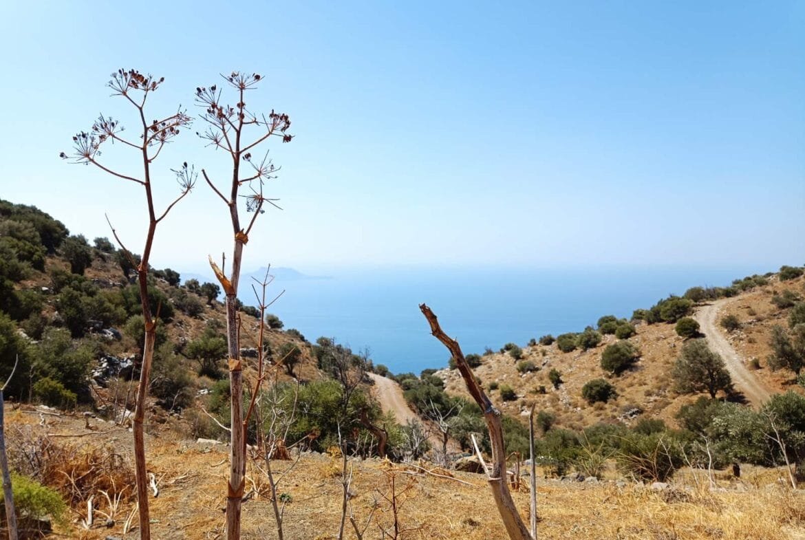 Plot of 27.500 square meters near Sactouria village.