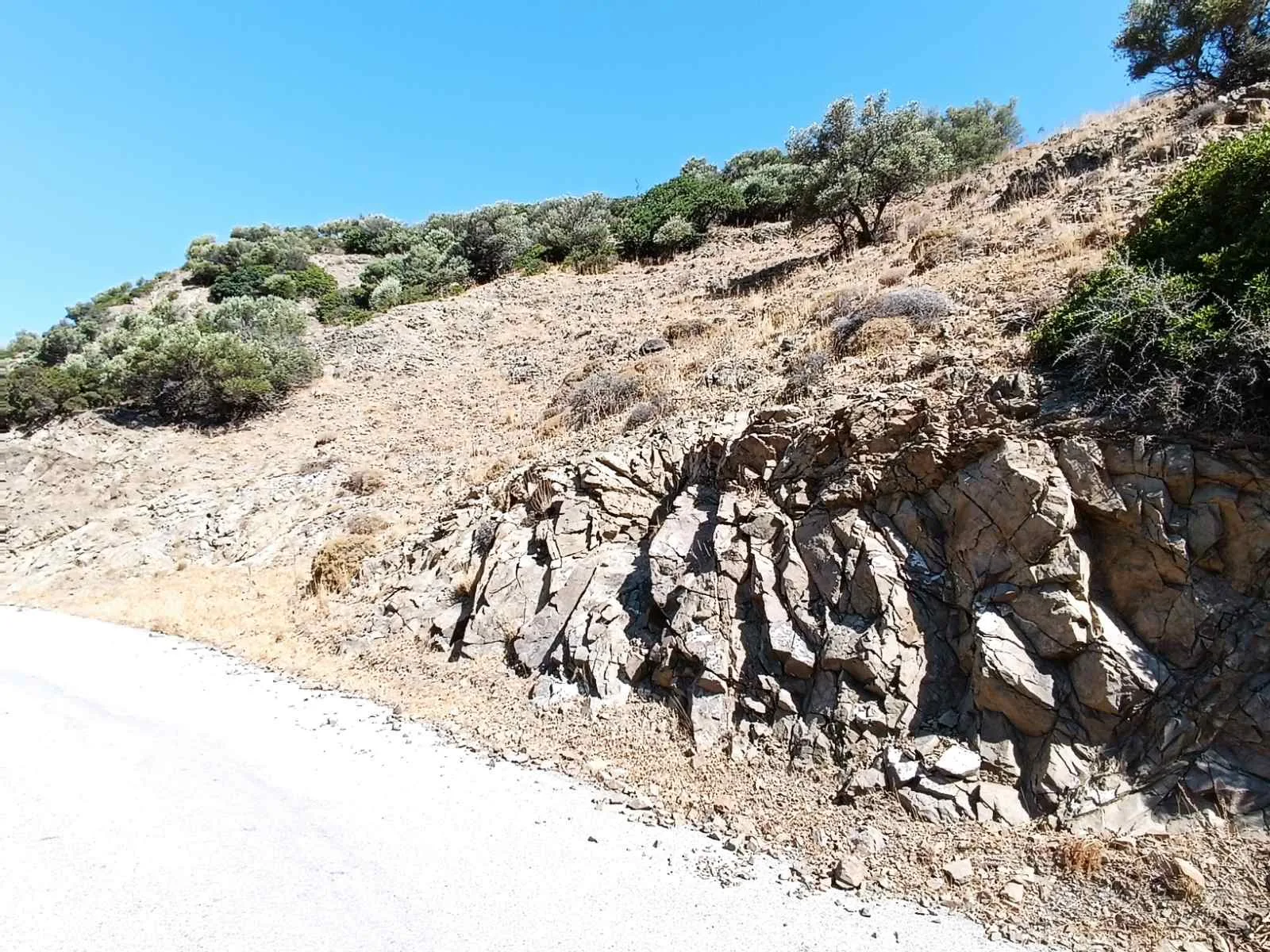 Five plots in the area of Triopetra.