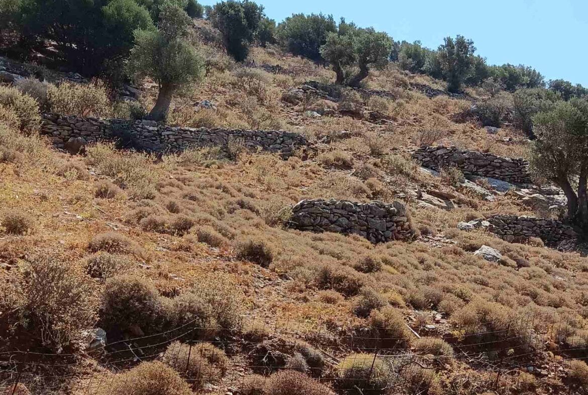 Plot of 27.500 square meters near Sactouria village.