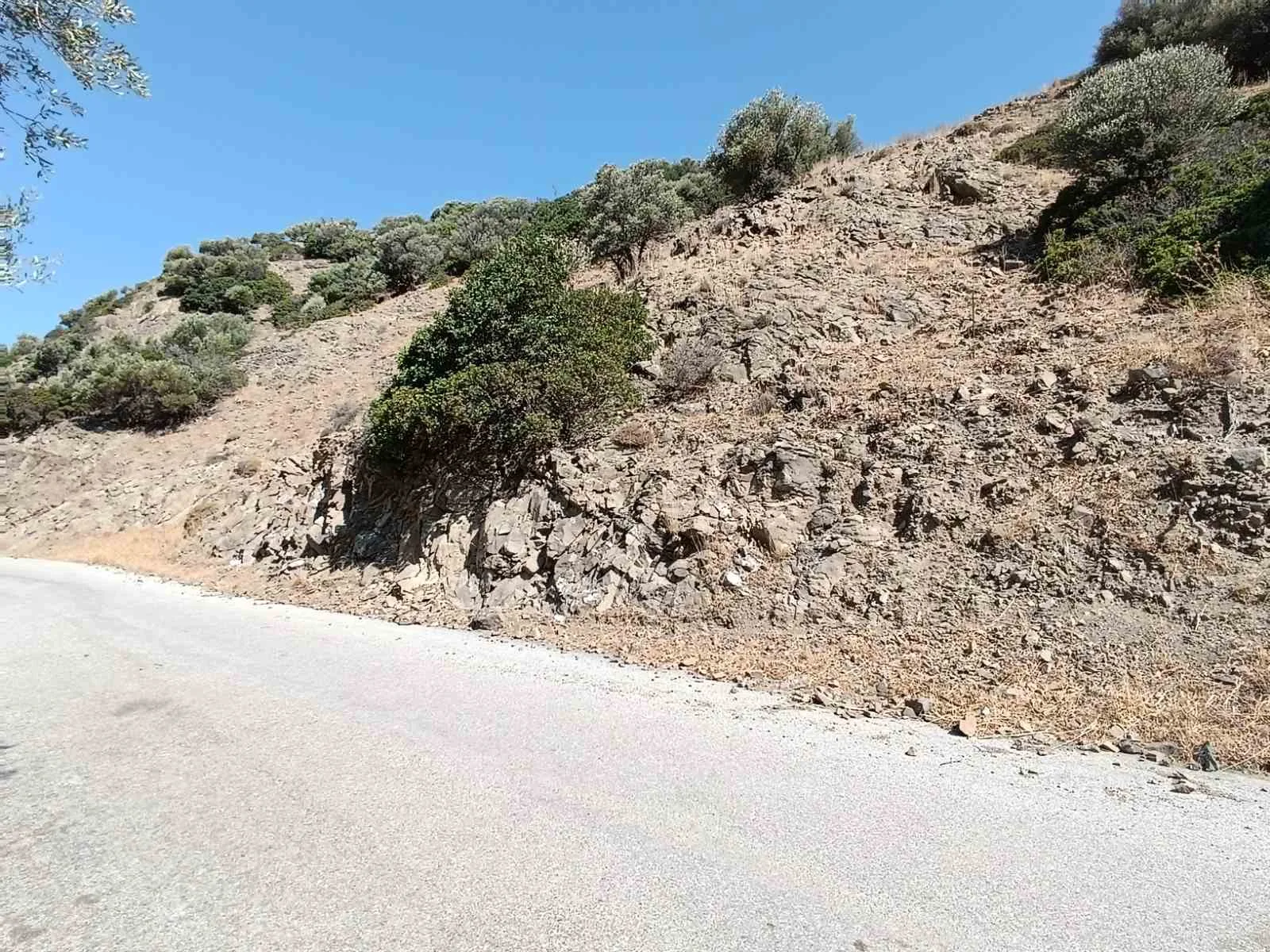 Five plots in the area of Triopetra.