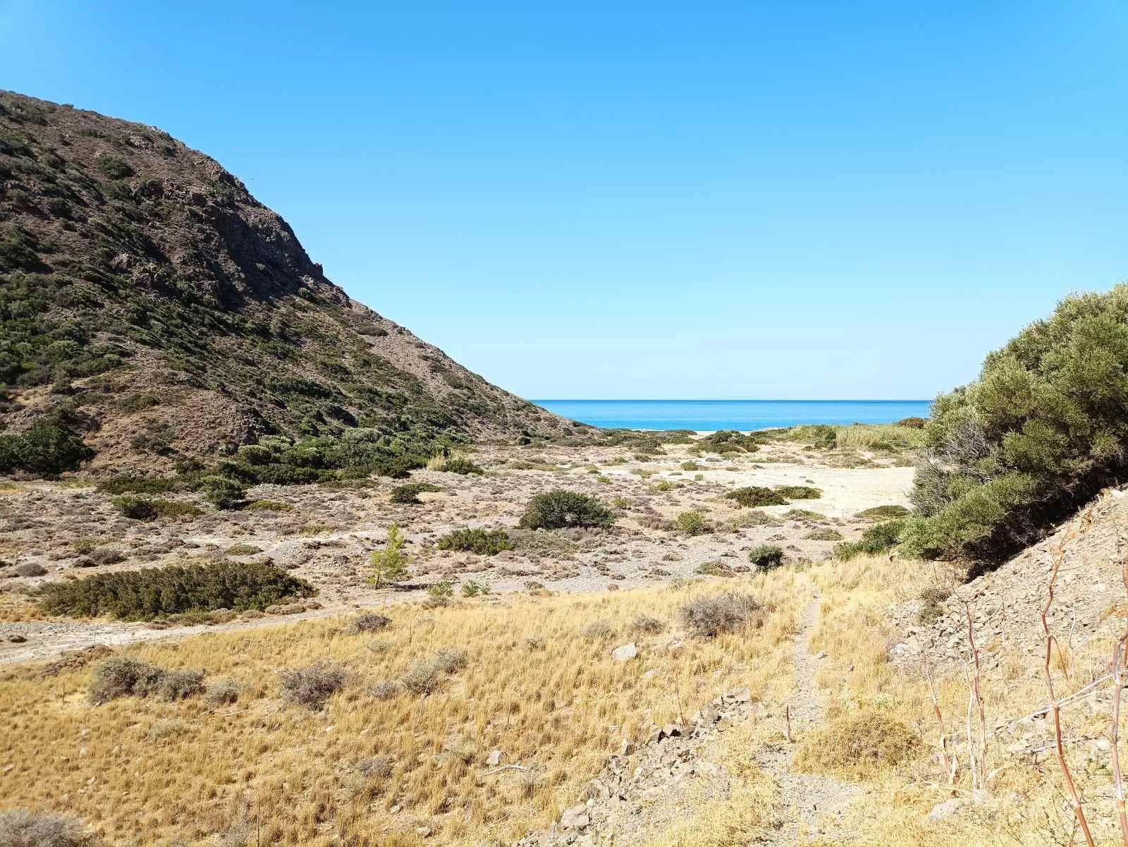 Five plots in the area of Triopetra.