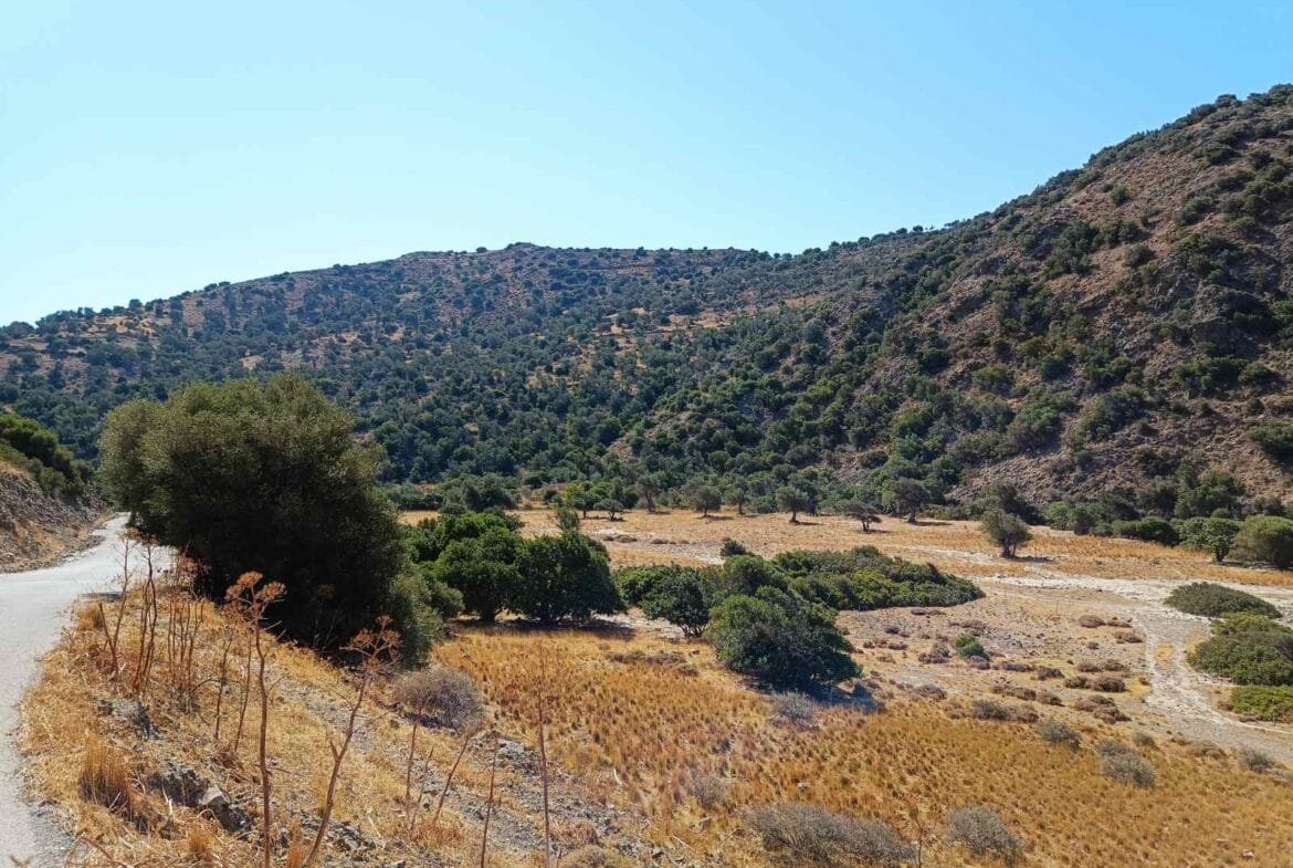 Five plots in the area of Triopetra.