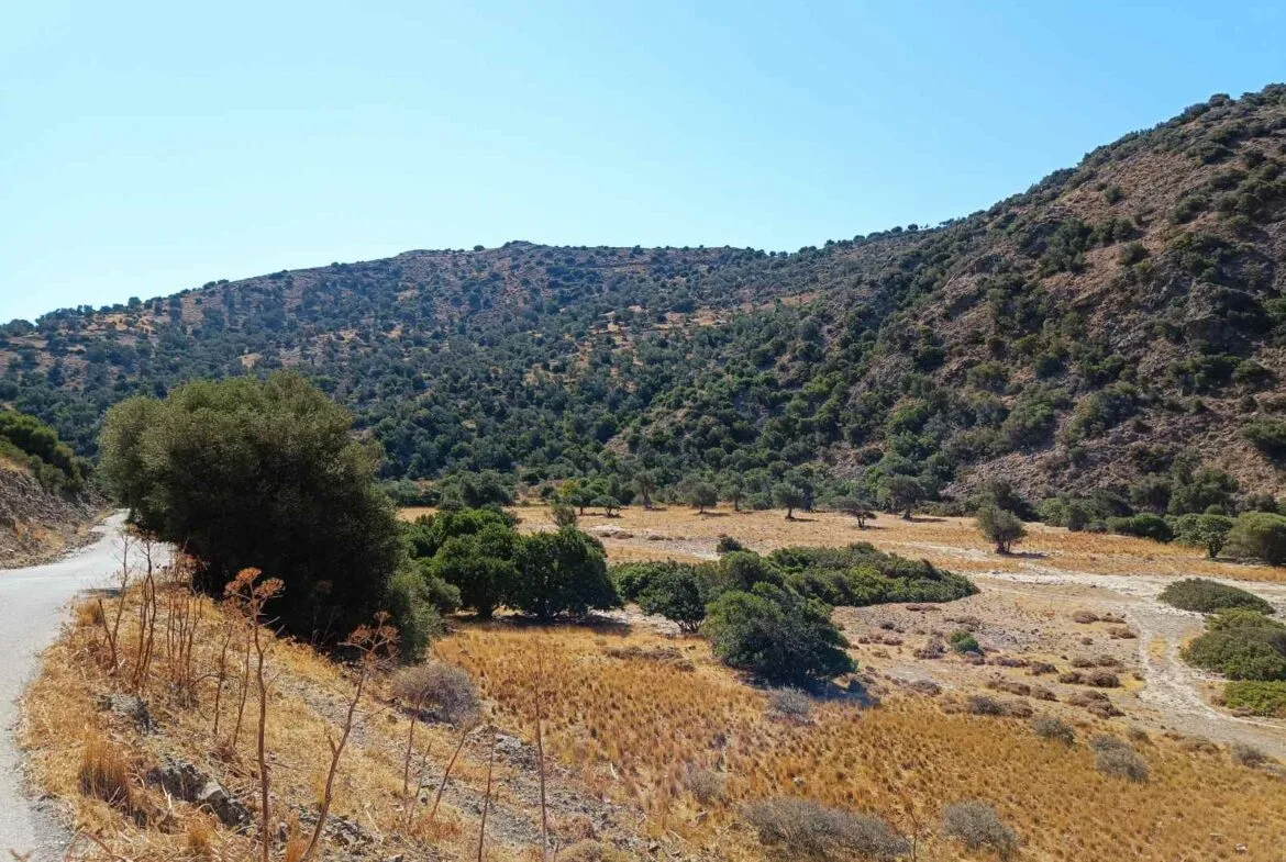 Five plots in the area of Triopetra.