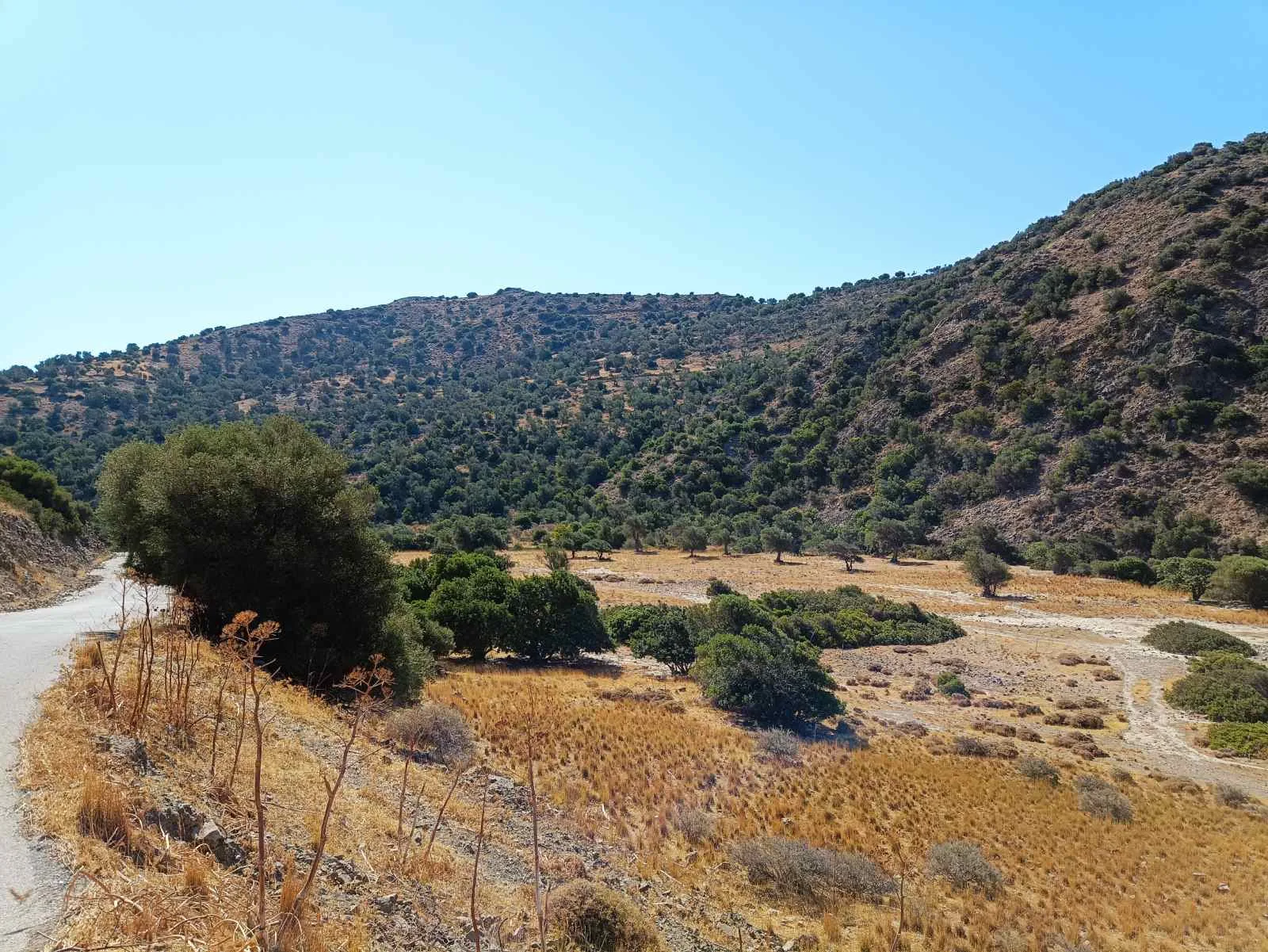 Five plots in the area of Triopetra.