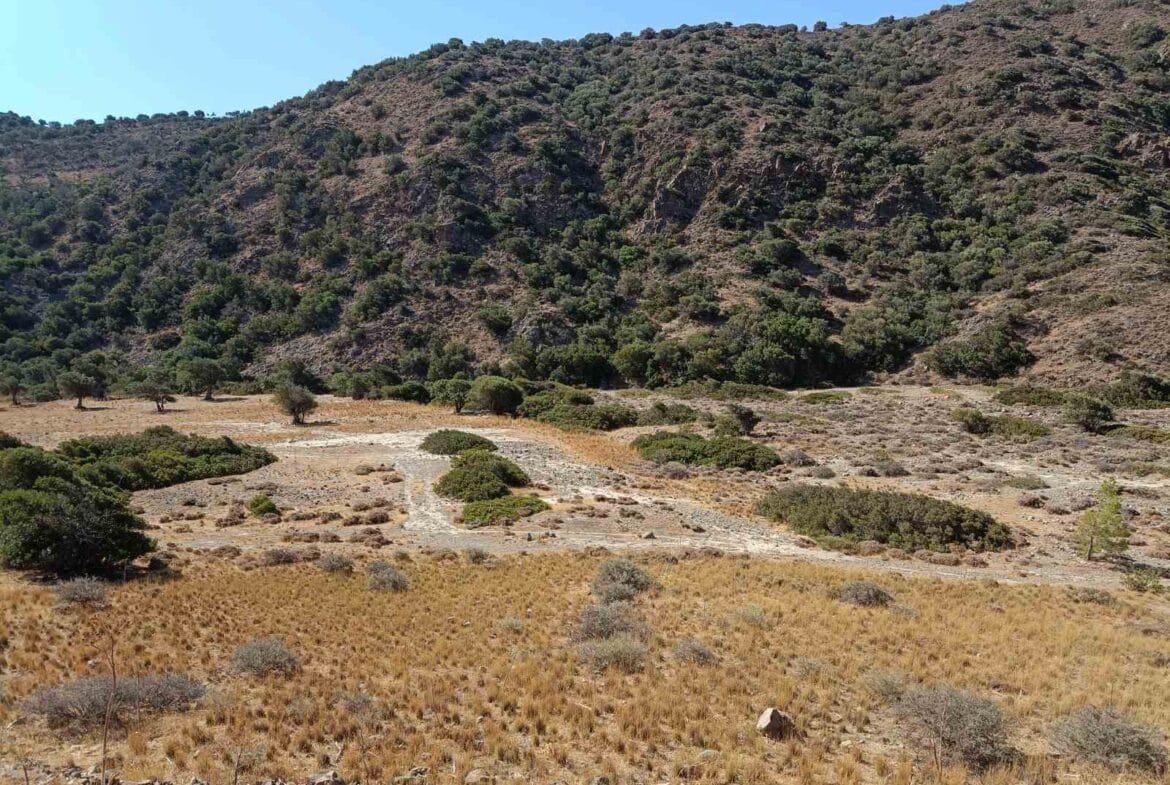 Five plots in the area of Triopetra.