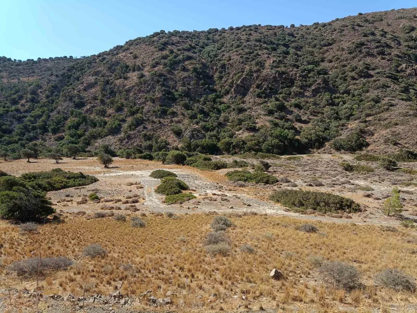 Five plots in the area of Triopetra.