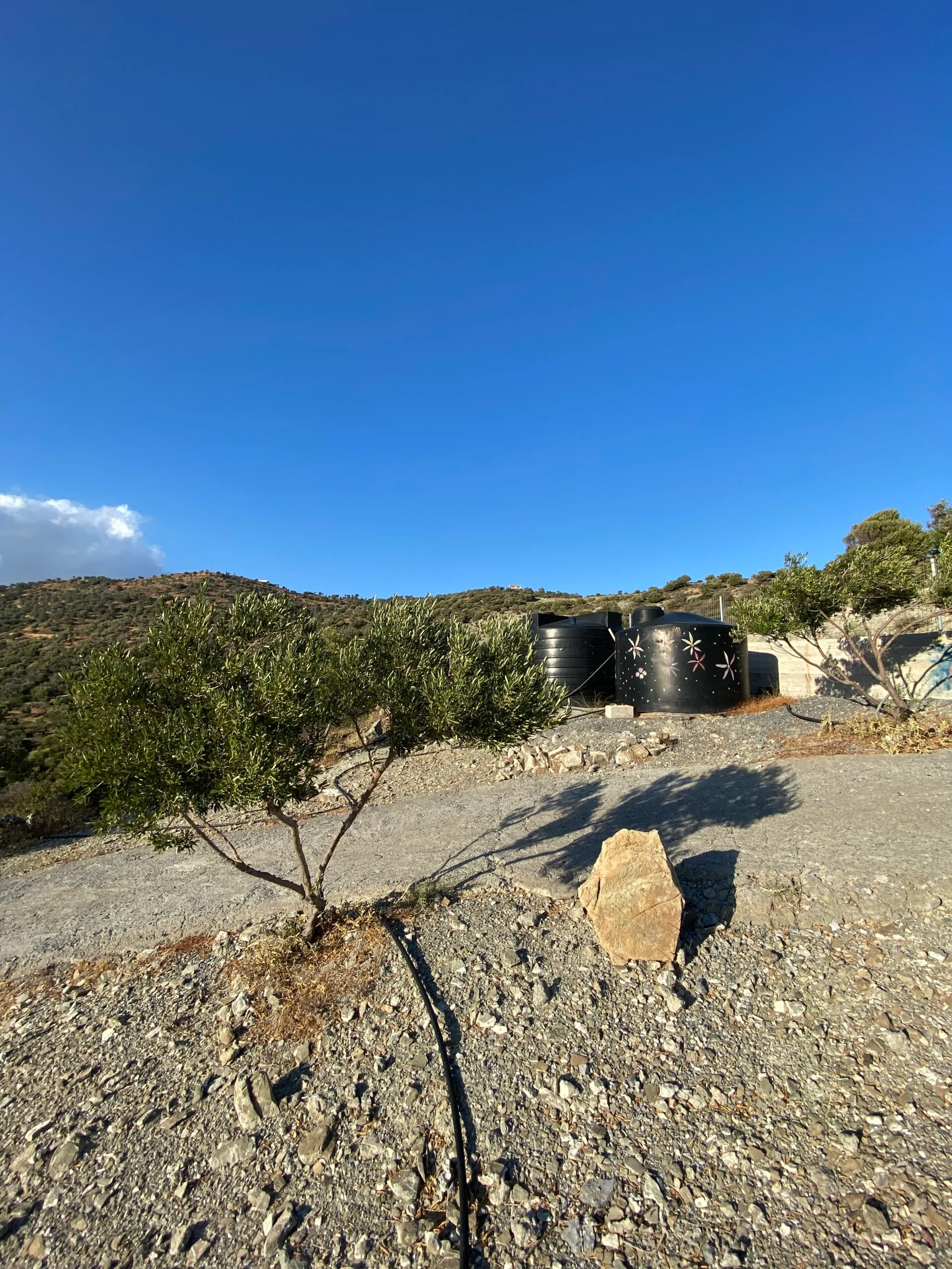 14.173 sqm plot with house for sale.