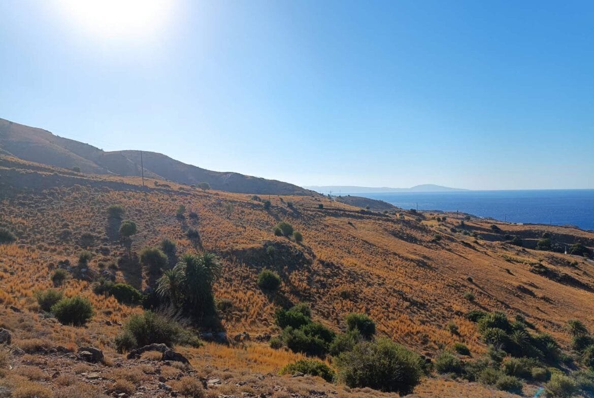 Plot of 15.000 square meters, ideal for commercial use, in Agios Pavlos.