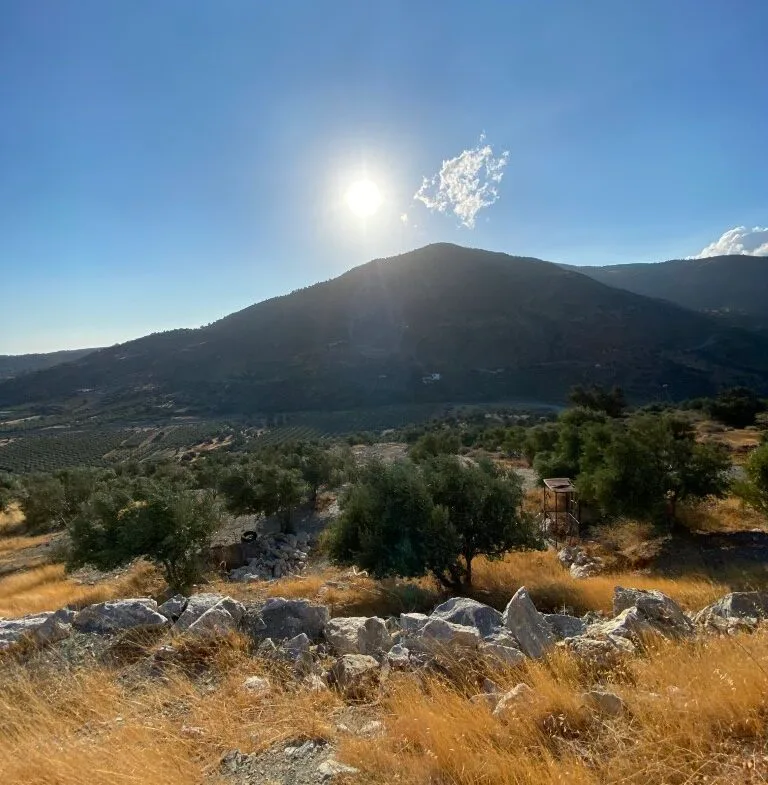 14.173 sqm plot with house for sale.