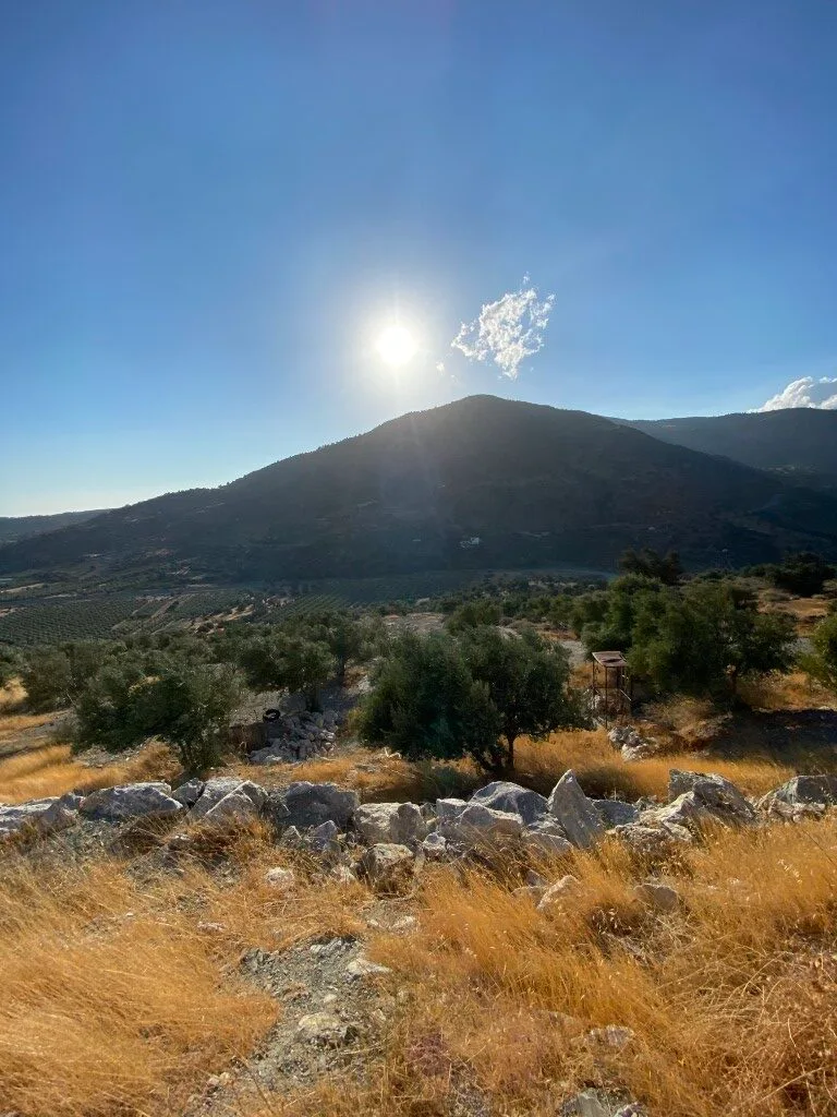 14.173 sqm plot with house for sale.