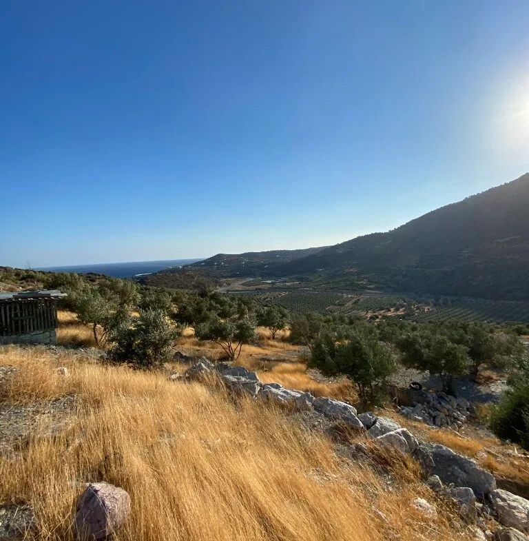 14.173 sqm plot with house for sale.