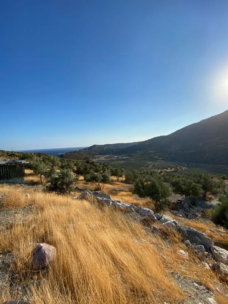 14.173 sqm plot with house for sale.
