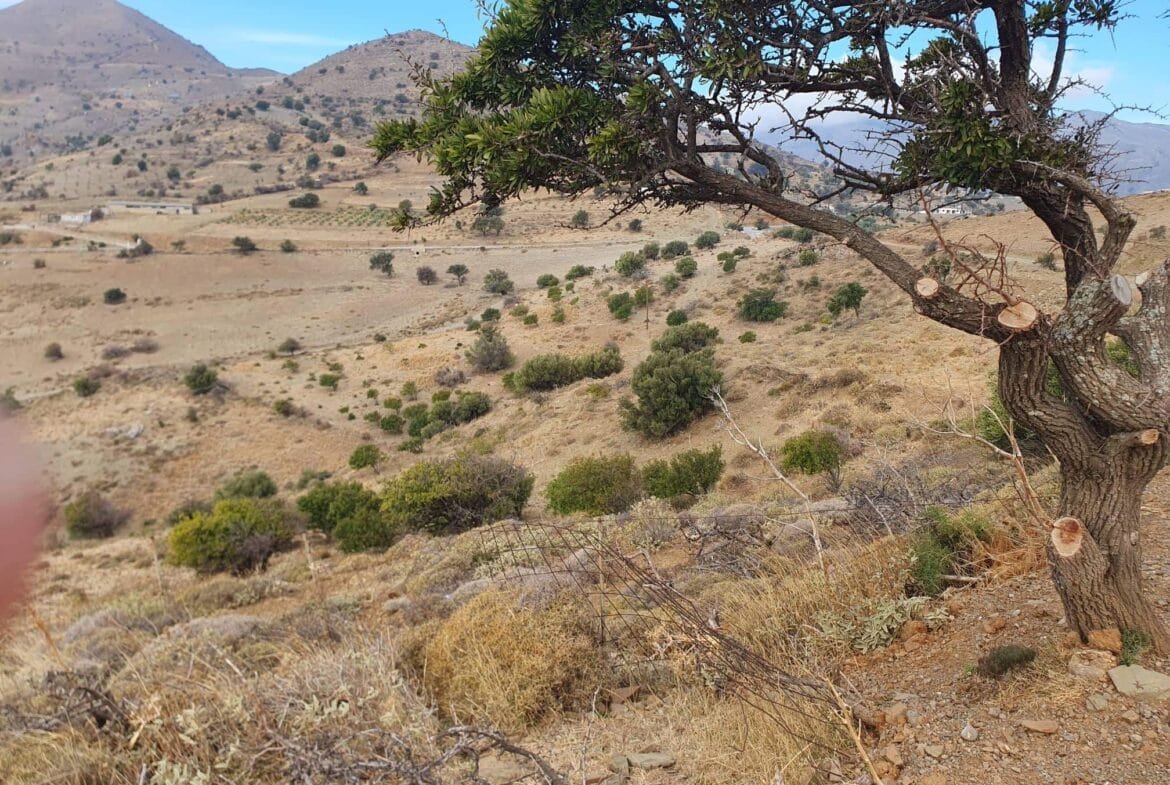 Land plot of 4.047 square meters in the area of Melambes.