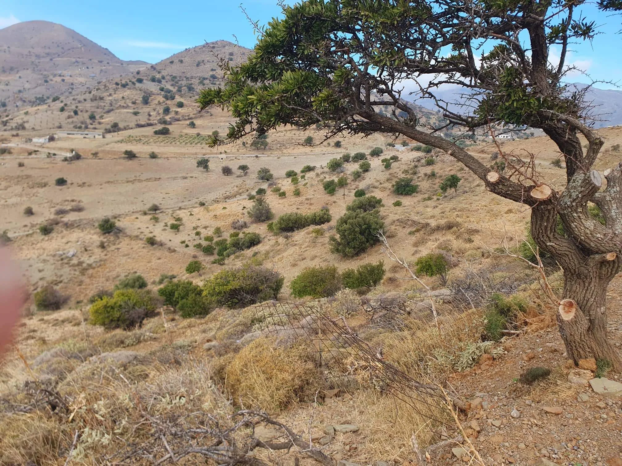 Land plot of 4.047 square meters in the area of Melambes.