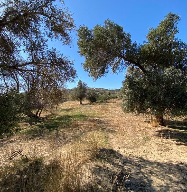 Land plot of 2.304,45 square meters in the area of Agia Galini.