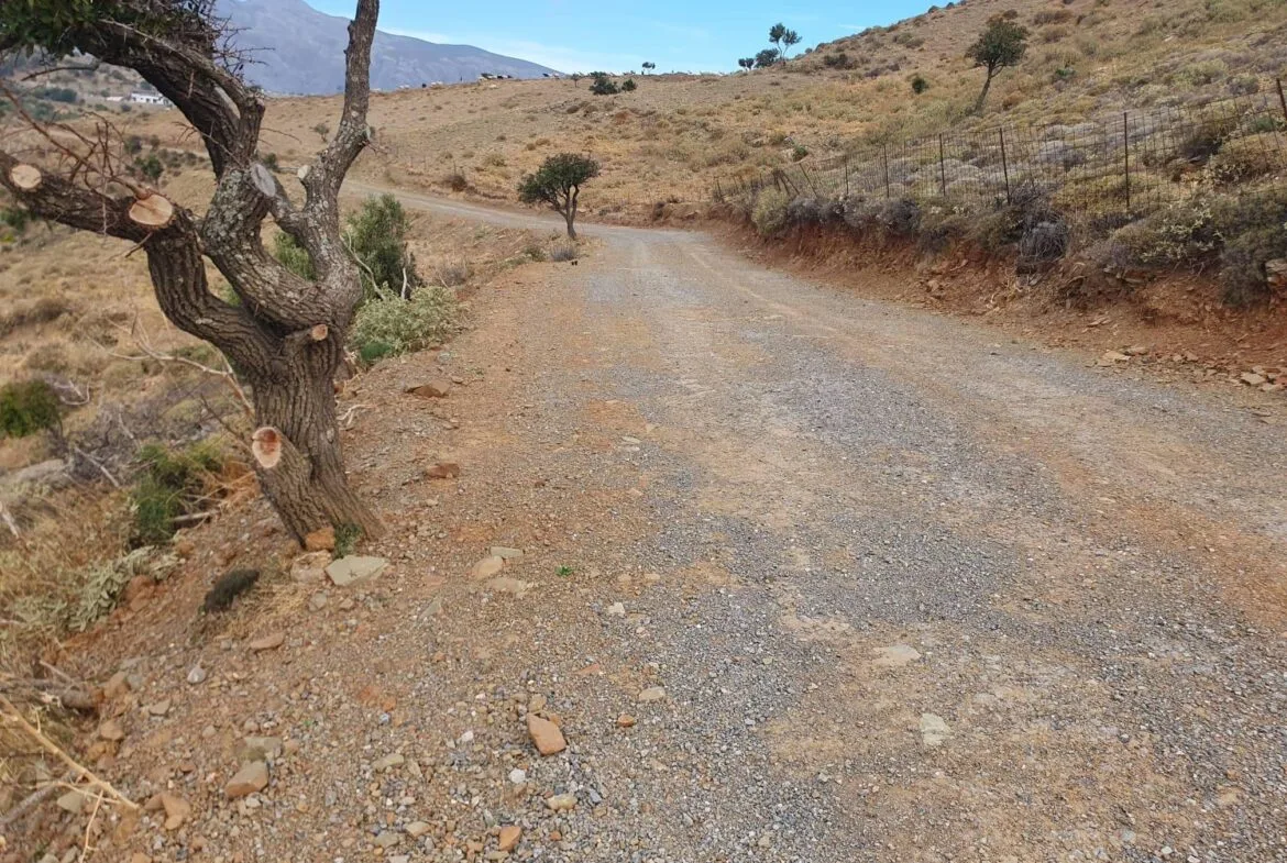 Land plot of 4.047 square meters in the area of Melambes.