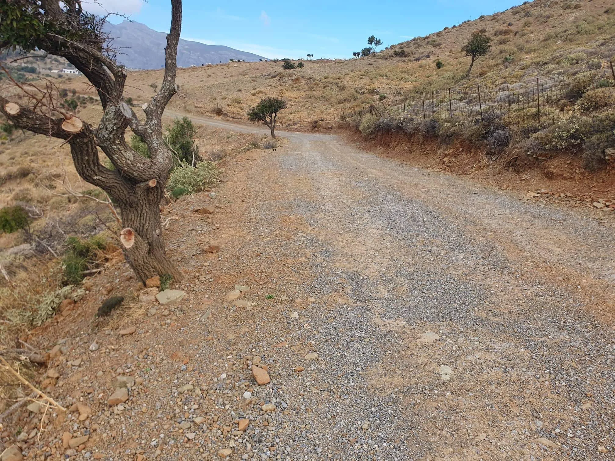 Land plot of 4.047 square meters in the area of Melambes.