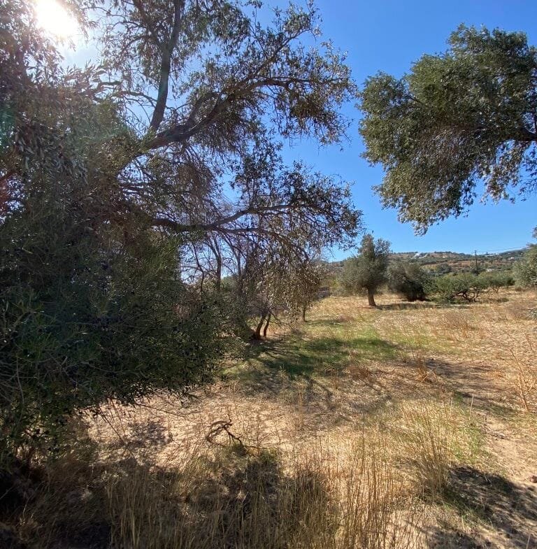 Land plot of 2.304,45 square meters in the area of Agia Galini.