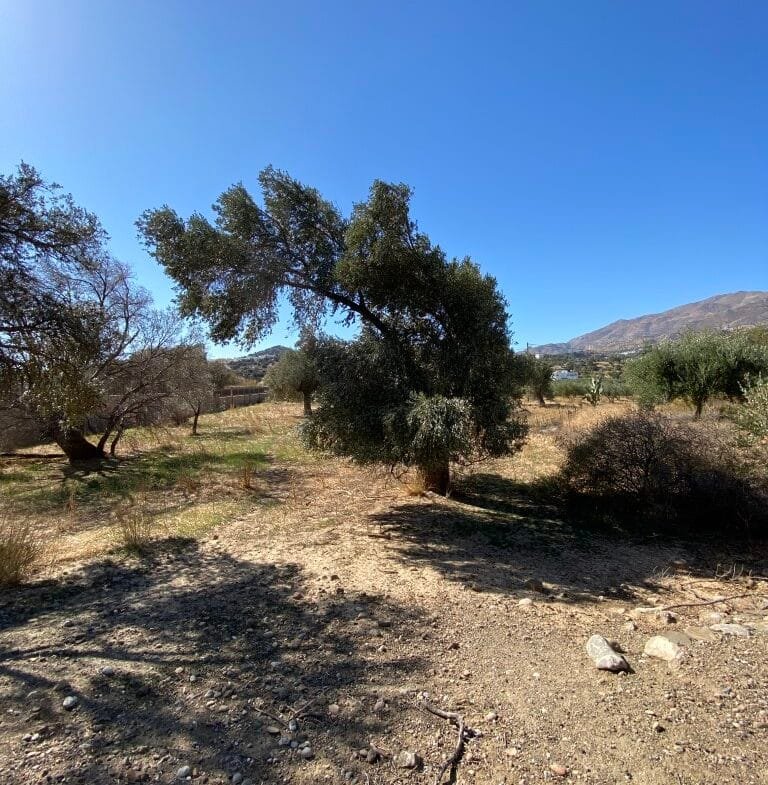 Land plot of 2.304,45 square meters in the area of Agia Galini.