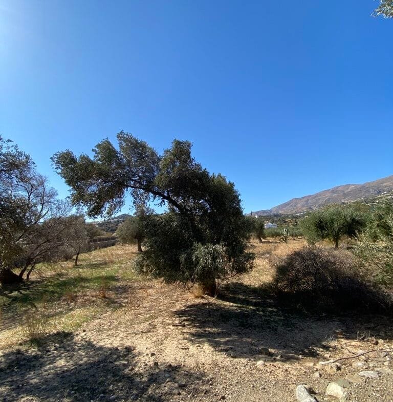 Land plot of 2.304,45 square meters in the area of Agia Galini.