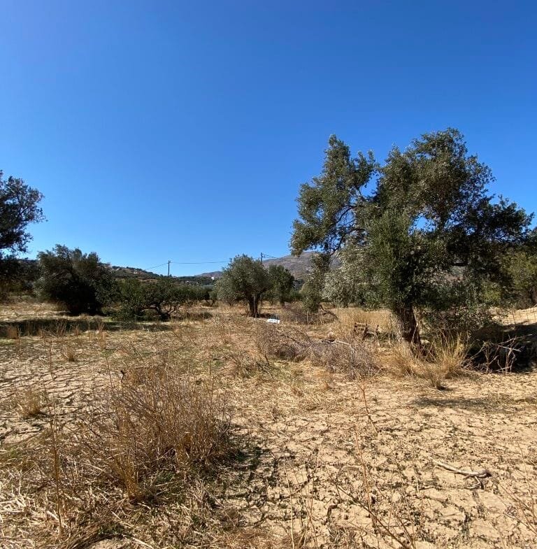 Land plot of 2.304,45 square meters in the area of Agia Galini.