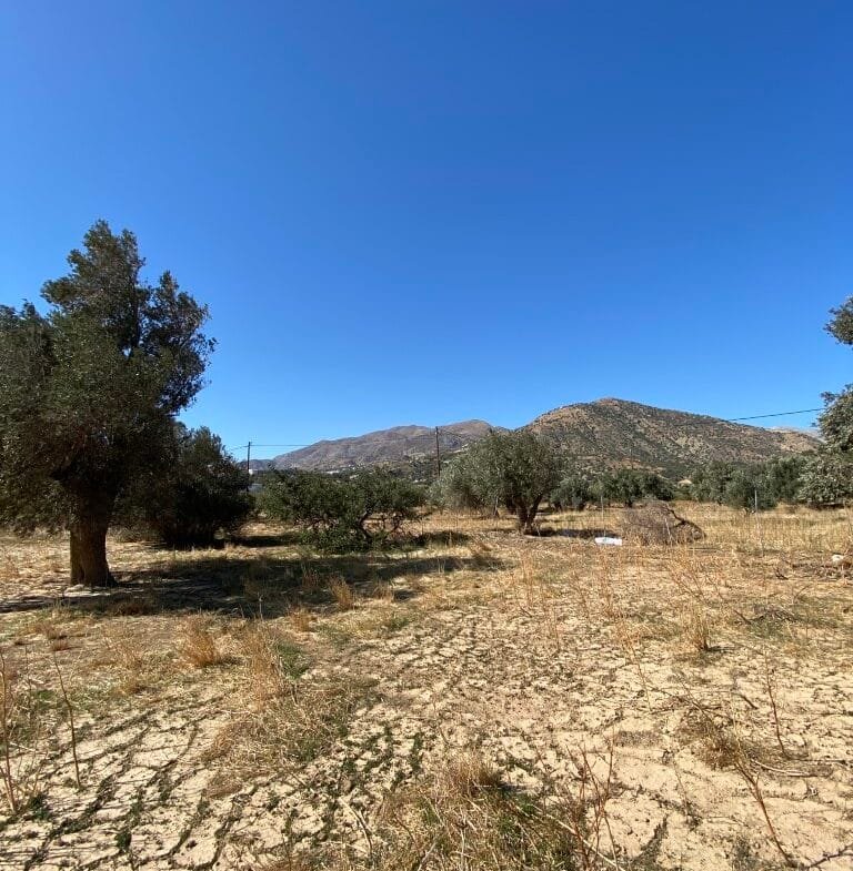 Land plot of 2.304,45 square meters in the area of Agia Galini.