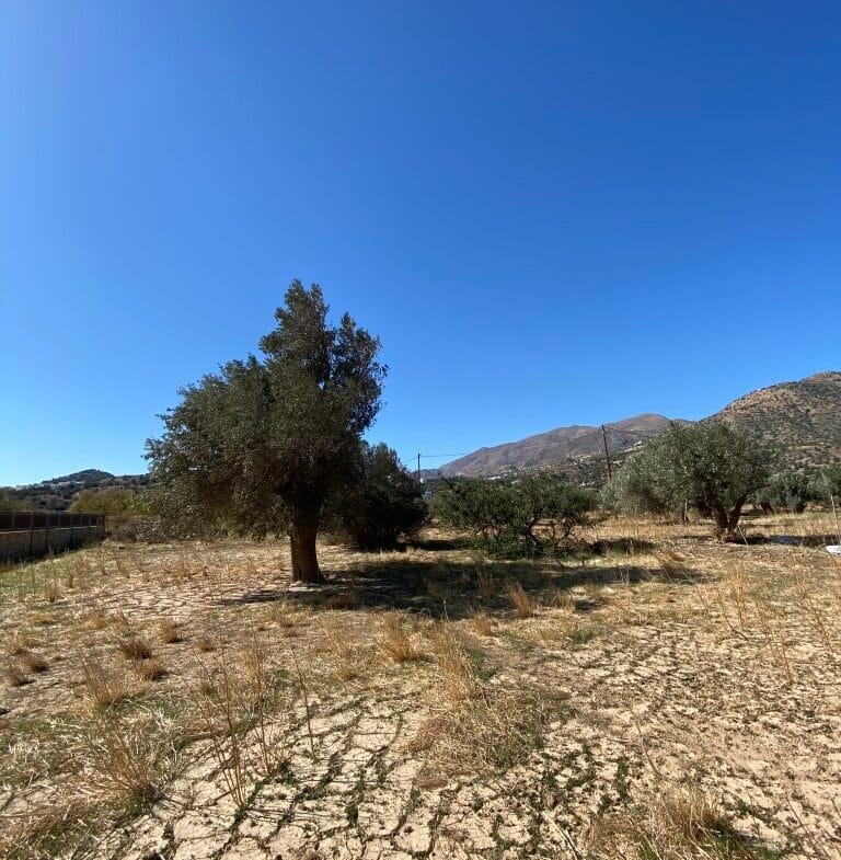 Land plot of 2.304,45 square meters in the area of Agia Galini.