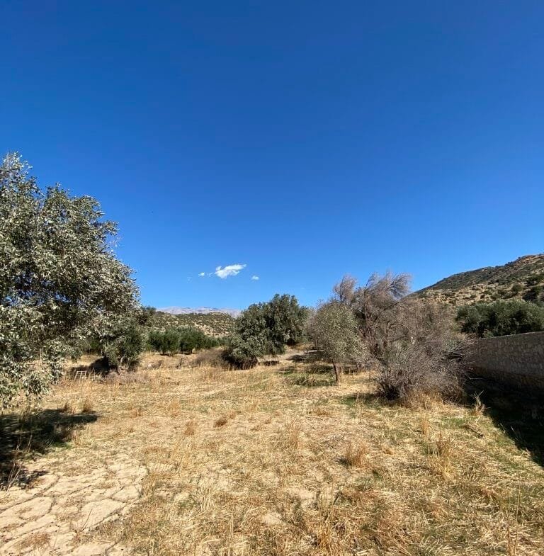 Land plot of 2.304,45 square meters in the area of Agia Galini.