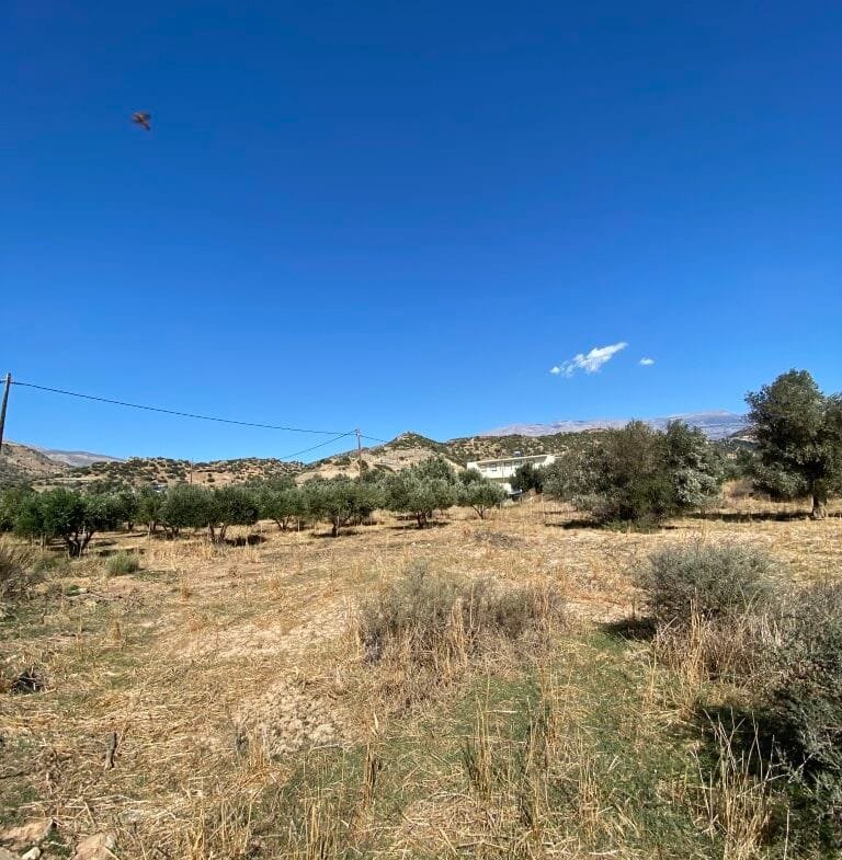 Land plot of 2.304,45 square meters in the area of Agia Galini.