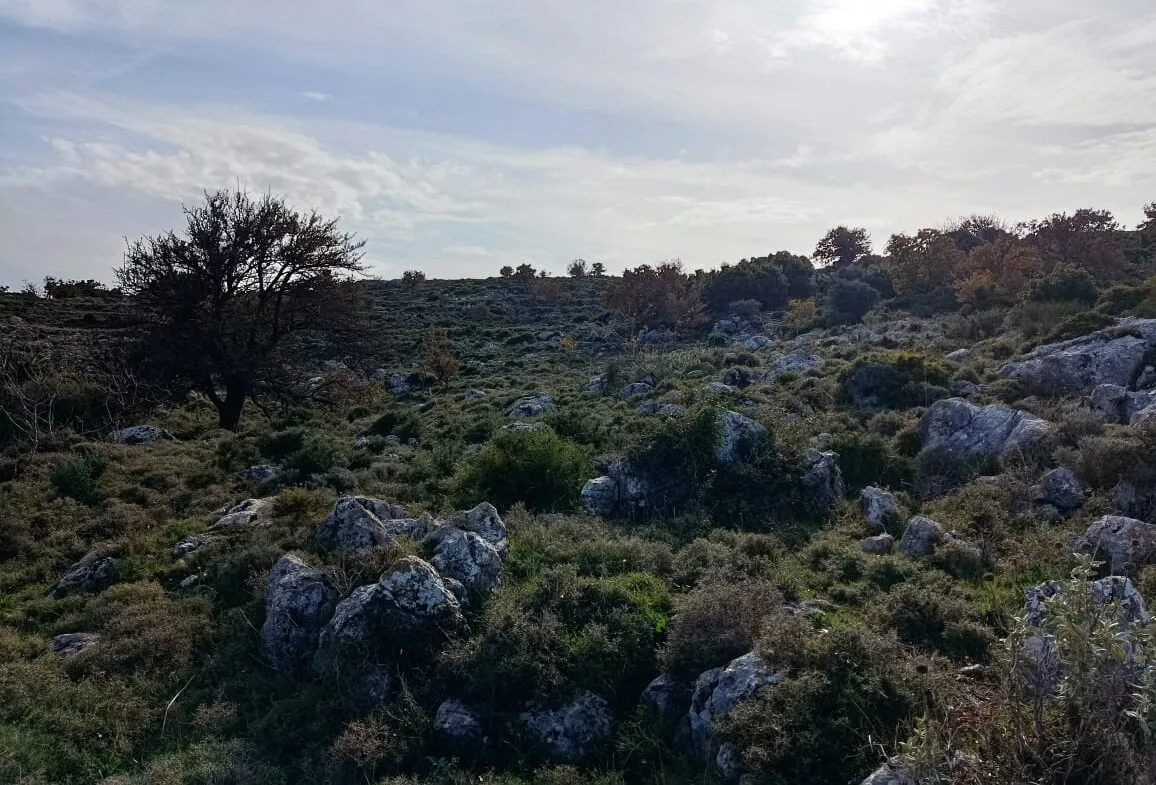 Plot of 28.000 square meters outside the settlement of Somatas, in Rethymno.