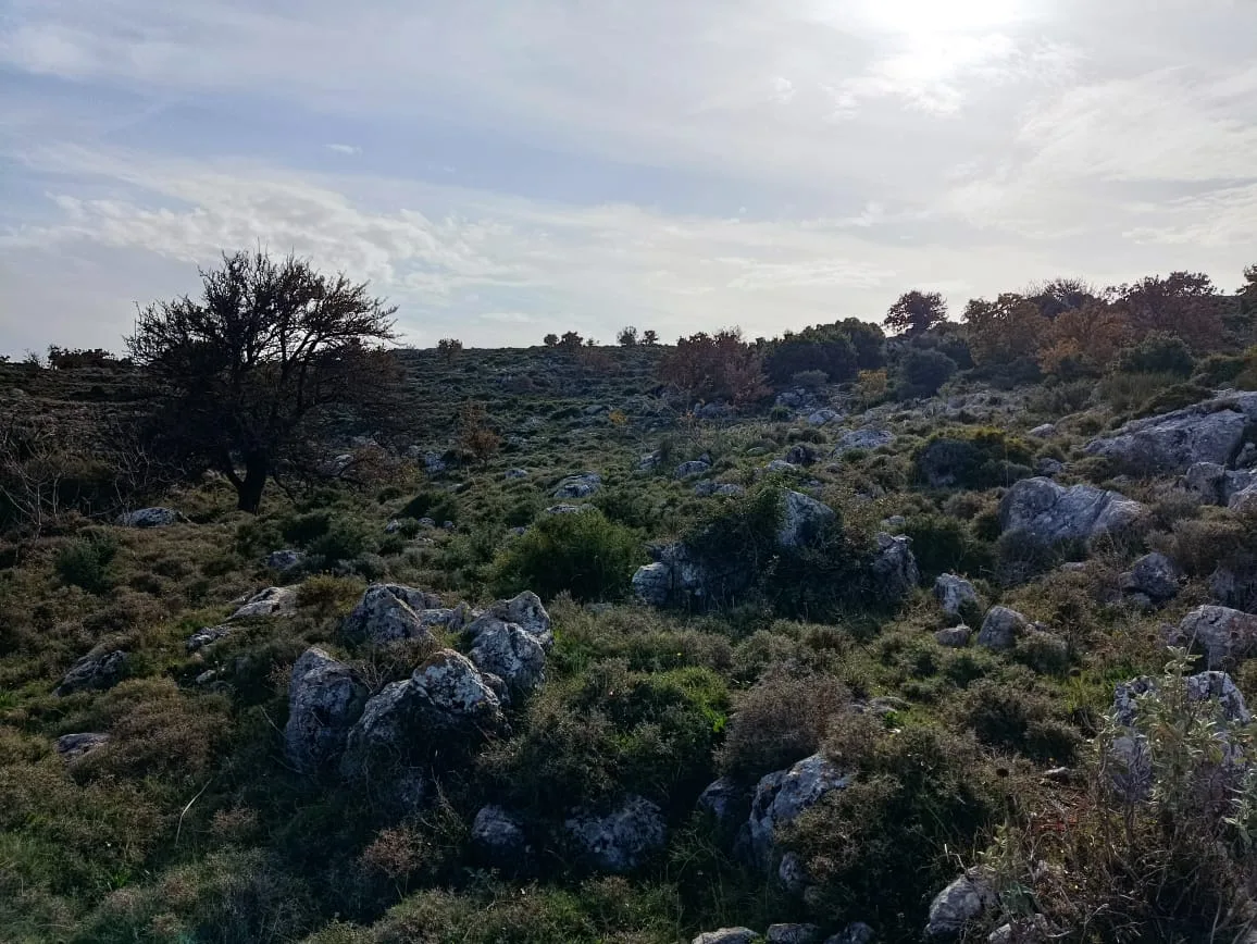Plot of 28.000 square meters outside the settlement of Somatas, in Rethymno.