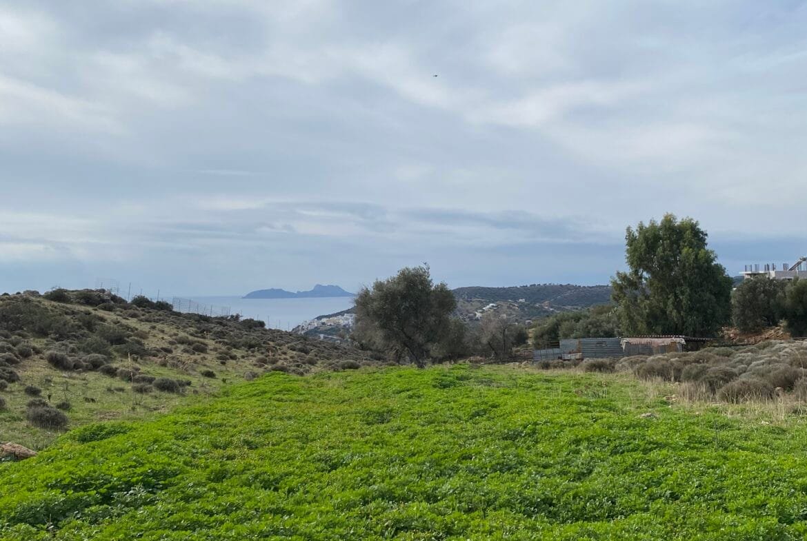 Large plot of land outside the settlement of Agia Galini.