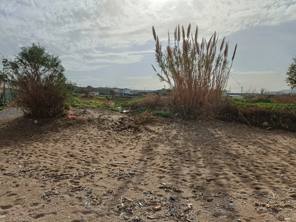 Plot of 5.000 sqm on the sea.
