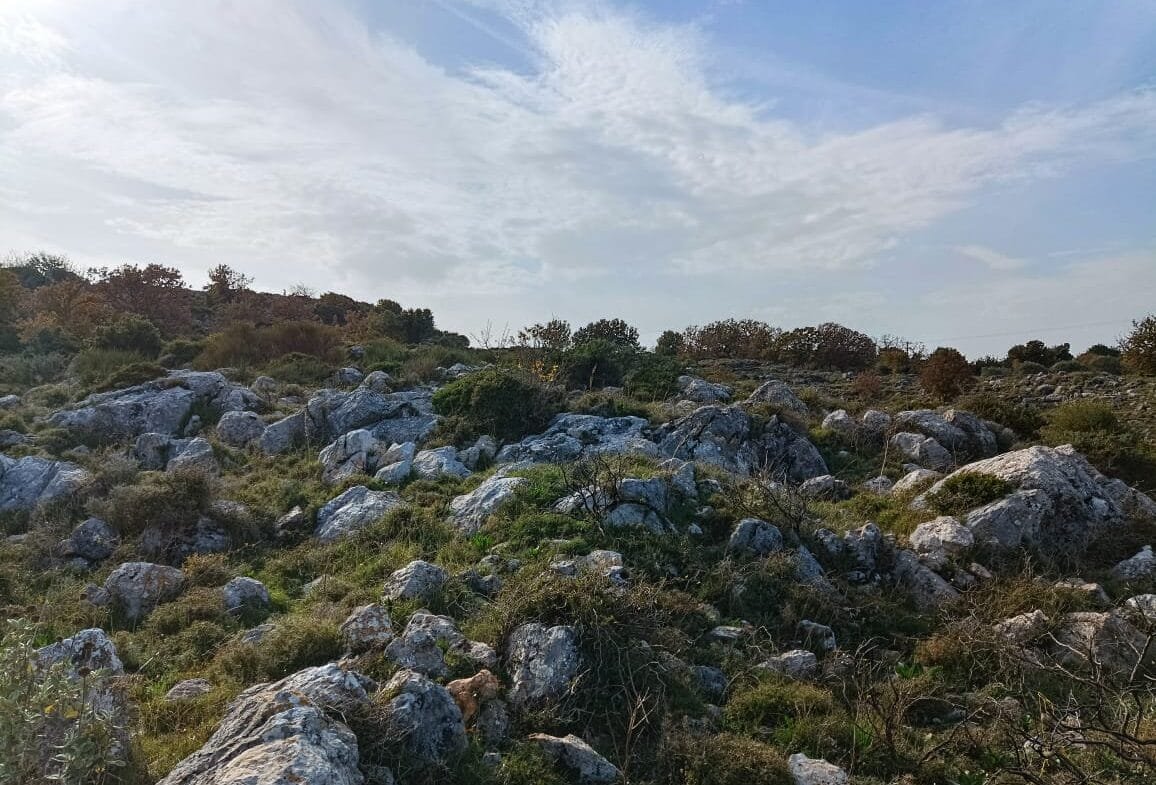 Plot of 28.000 square meters outside the settlement of Somatas, in Rethymno.