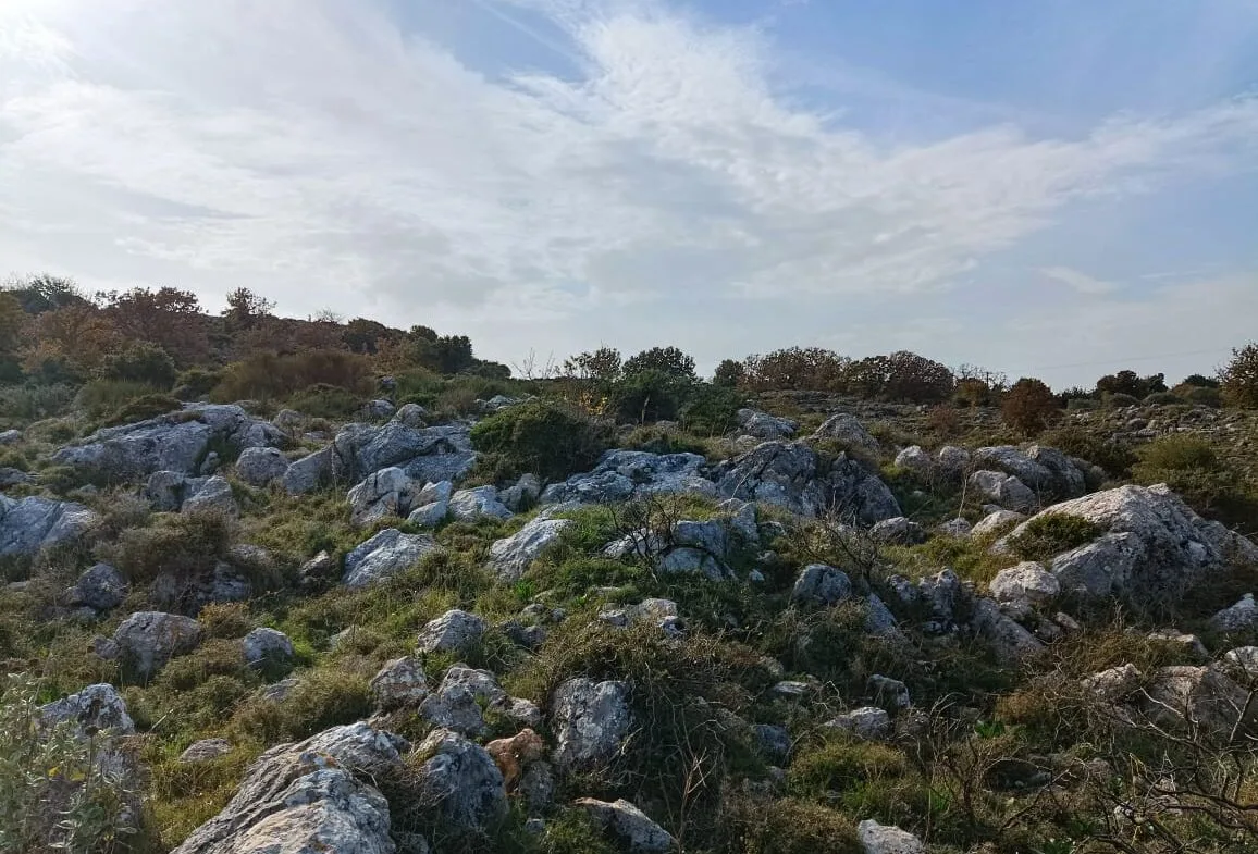 Plot of 28.000 square meters outside the settlement of Somatas, in Rethymno.