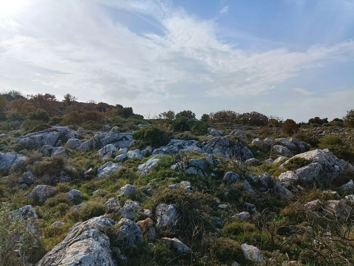 Plot of 28.000 square meters outside the settlement of Somatas, in Rethymno.