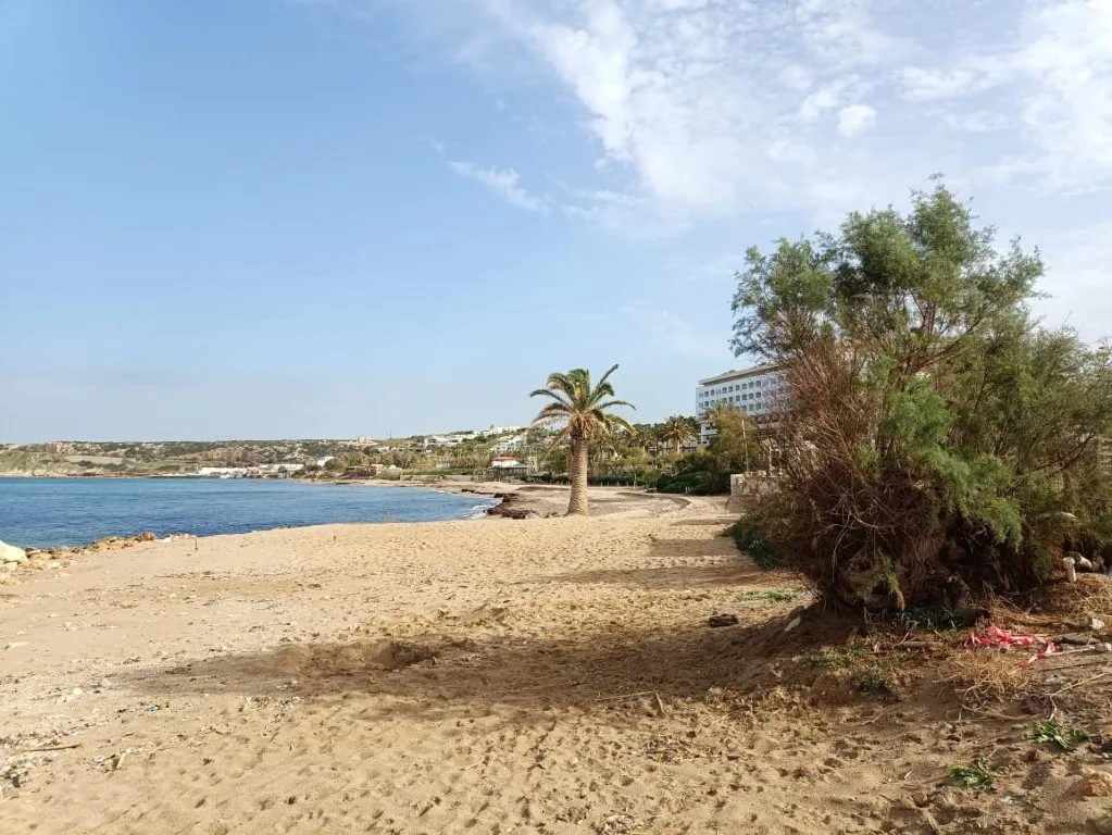 Plot of 5.000 sqm on the sea.