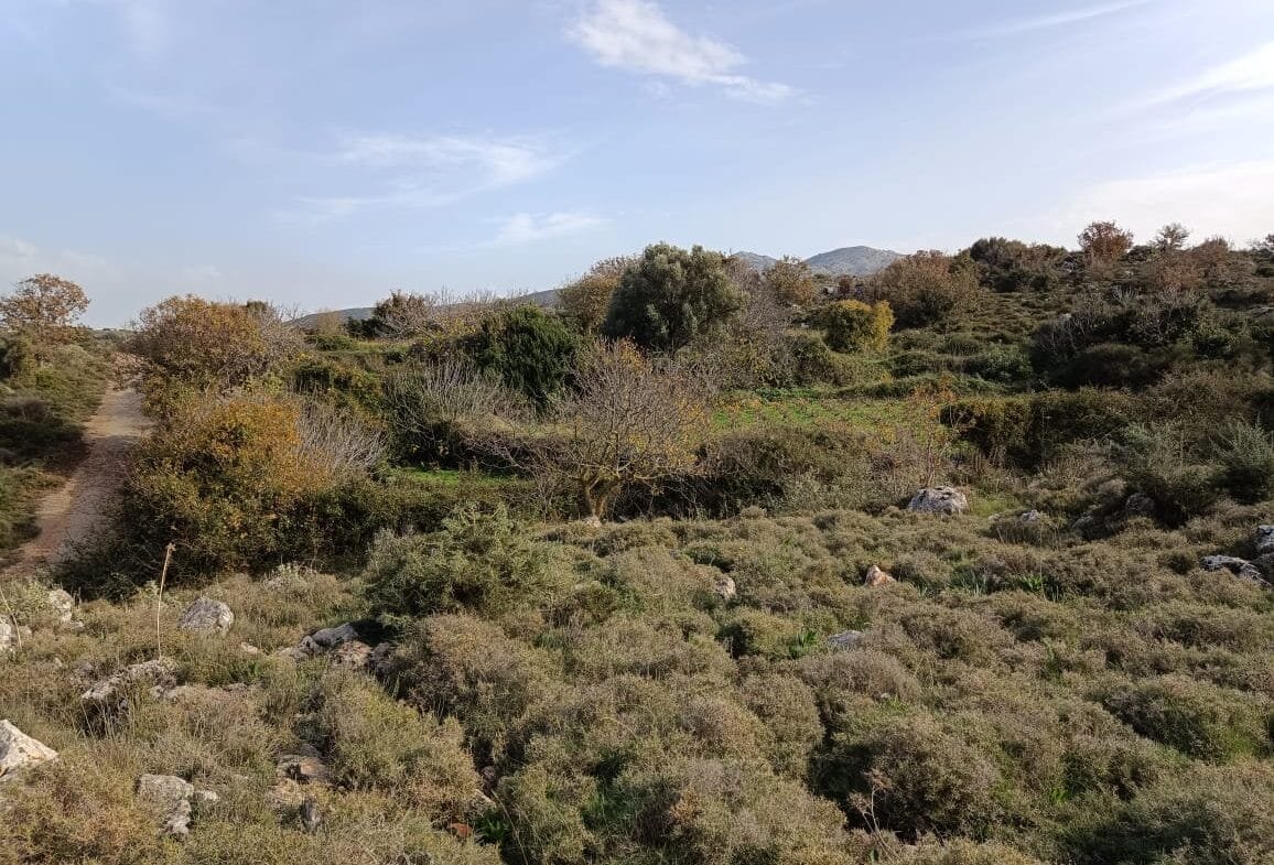 Plot of 28.000 square meters outside the settlement of Somatas, in Rethymno.